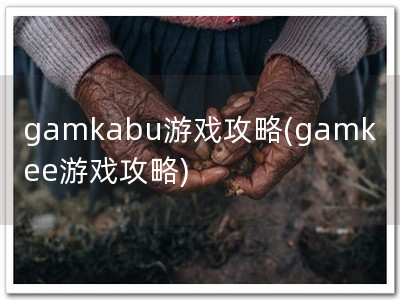 gamkabu游戏攻略(gamkee游戏攻略)